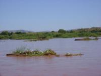 DSC01237.jpg