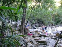 DSC01239.jpg