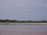 DSC01265.jpg