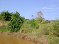 DSC01272.jpg