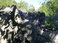 DSC01317.jpg