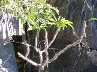 DSC01324.jpg