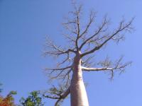 DSC01387.jpg