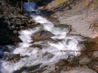 DSC00278.jpg