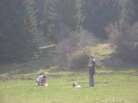 DSC00305.jpg