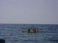 DSC00347.jpg