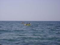 DSC00352.jpg