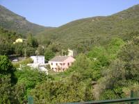 DSC00354.jpg