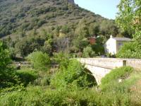 DSC00355.jpg