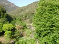 DSC00356.jpg