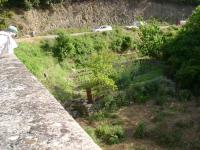 DSC00357.jpg
