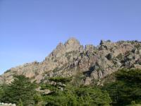 DSC00422.jpg