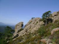 DSC00423.jpg