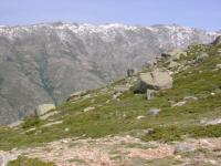 DSC00450.jpg