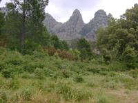 DSC00455.jpg
