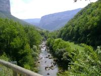 DSC00690.jpg