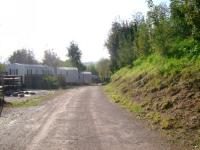 DSC00935.jpg