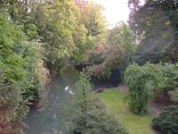 DSC00979.jpg