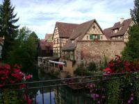 DSC00980.jpg