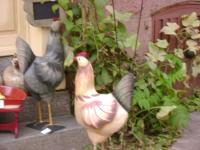DSC00986.jpg