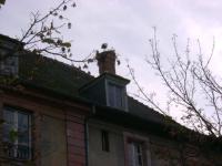 DSC00991.jpg