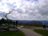 DSC01002.jpg